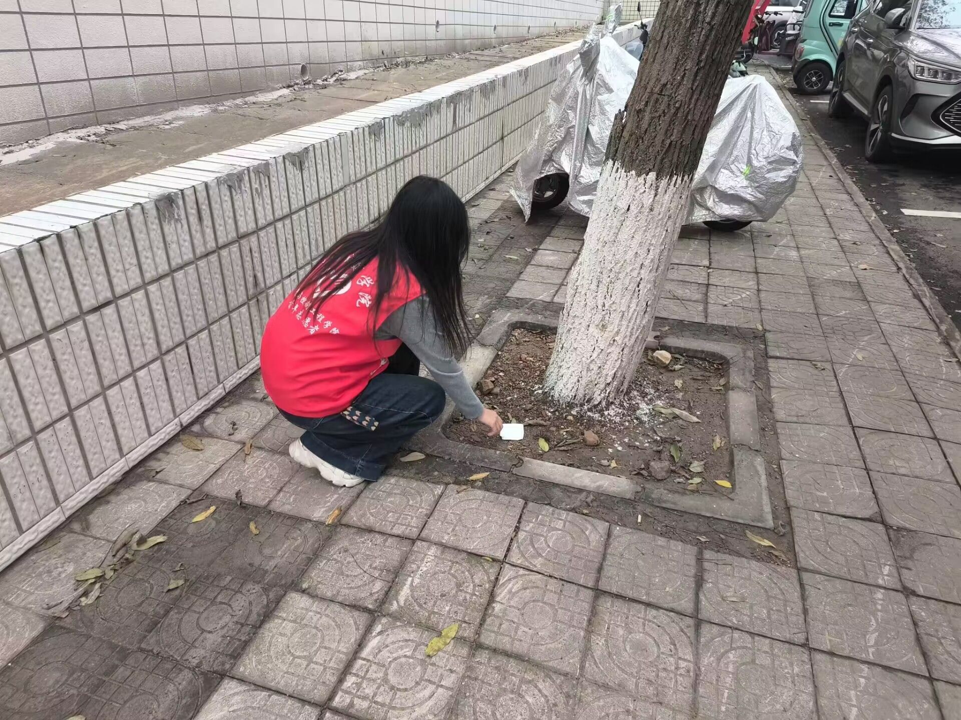 B177543DE0F1516F4439D6B615171E2A