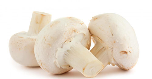 white button mushrooms Halotropin ingredients